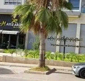 95m2 a Tasnime Californie 2 très ensoleillé