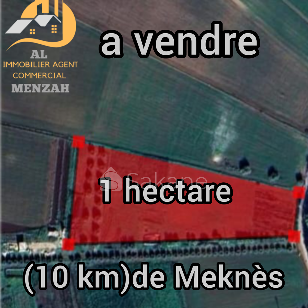 vente 1 hectare - 1