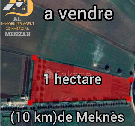 vente 1 hectare