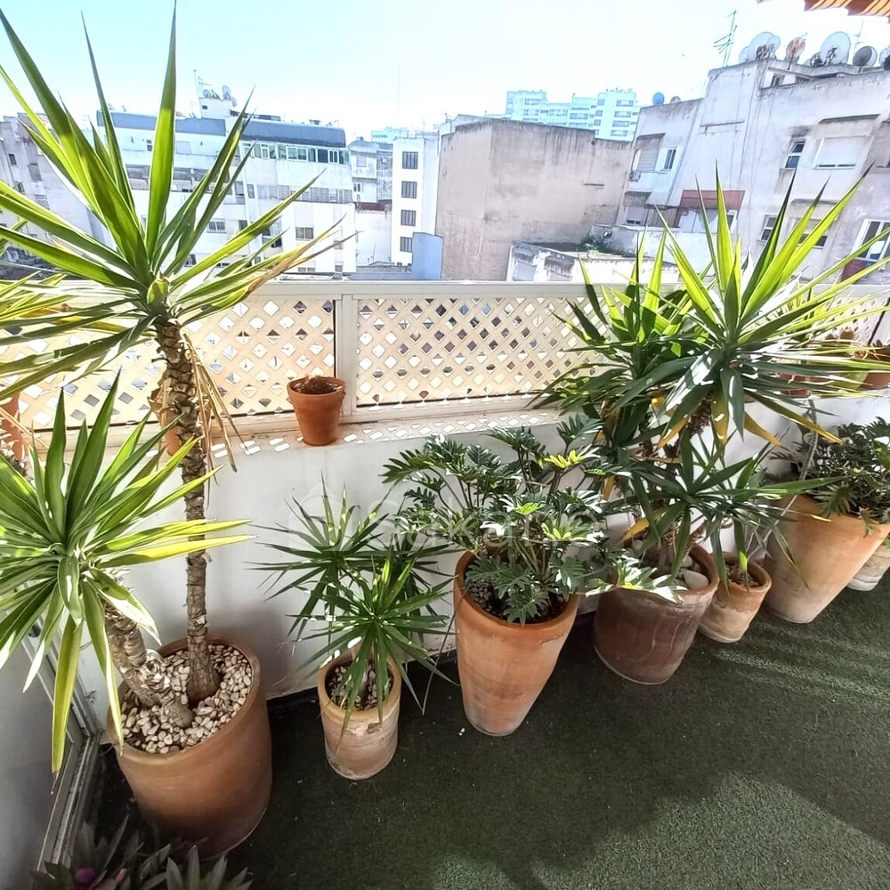 Appartement avec terrasse à vendre 80 m² bd ziraoui - 1