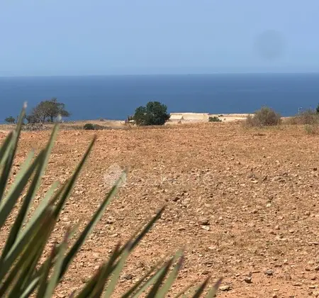 Terrain titre agricole 10200 m2