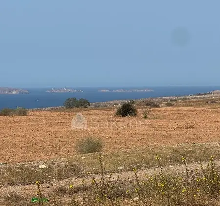 Terrain titre agricole 10200 m2