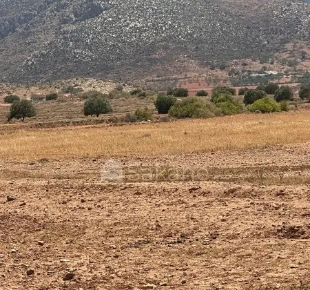 Terrain titre agricole 10200 m2
