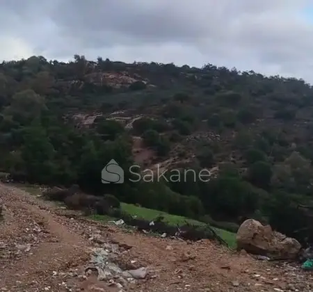 Terrain à vendre Achakar Tanger أرض للبيع في أشقار طنجة