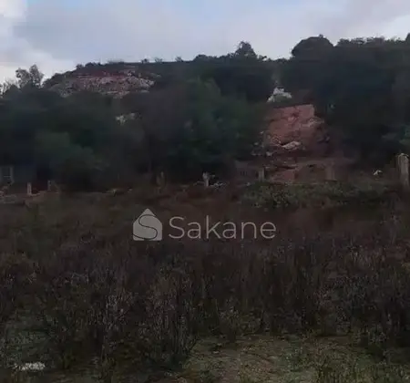 Terrain à vendre Achakar Tanger أرض للبيع في أشقار طنجة
